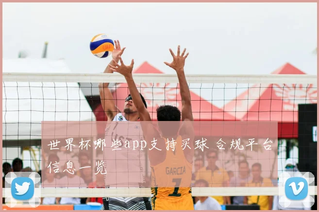 世界杯哪些app支持买球 合规平台信息一览