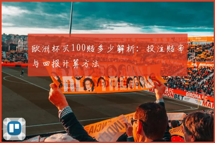 欧洲杯买100赔多少解析:投注赔率与回报计算方法