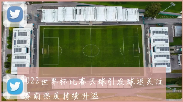 2022世界杯比赛买球引发球迷关注 赛前热度持续升温