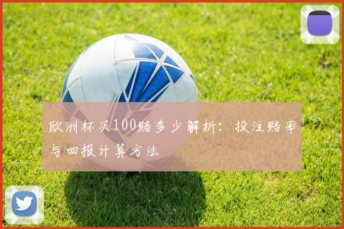 欧洲杯买100赔多少解析:投注赔率与回报计算方法